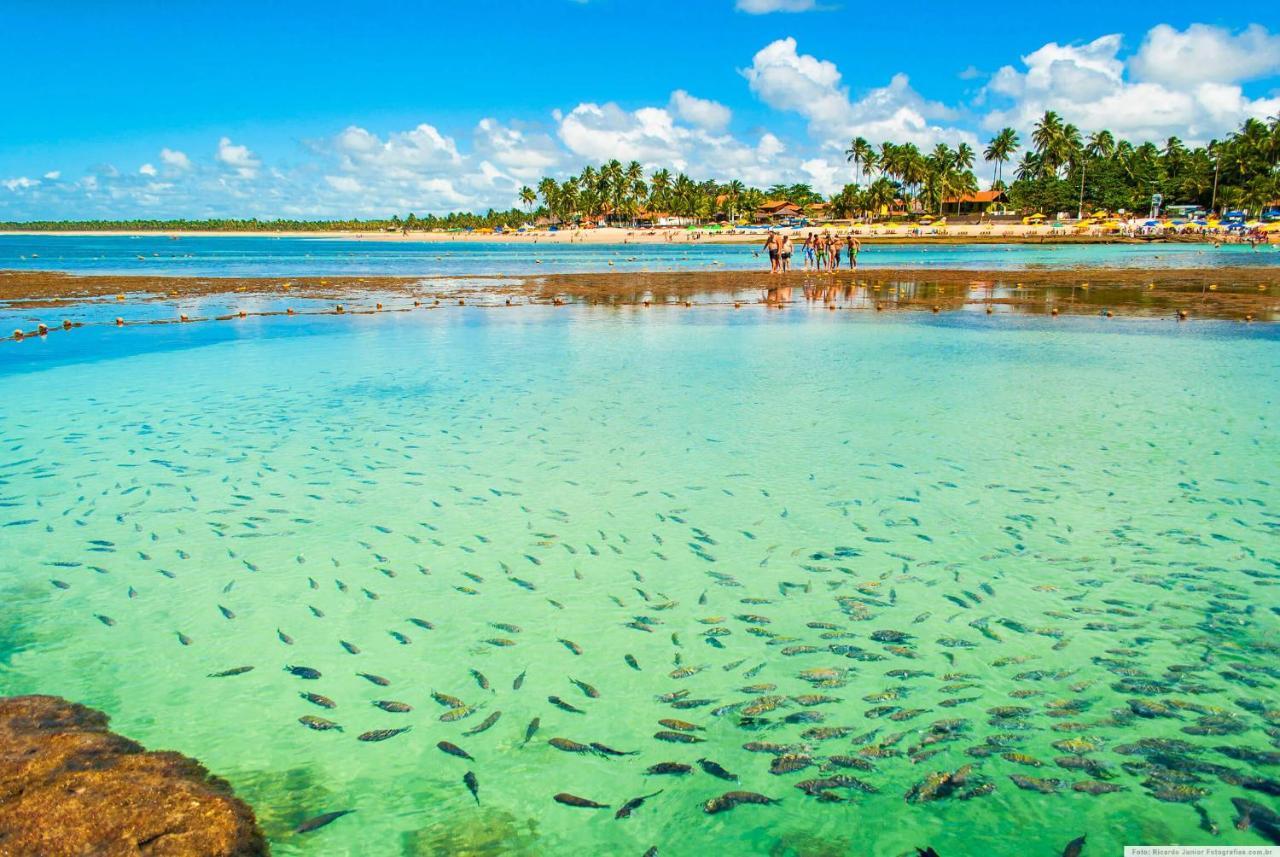 Vista Inesquecivel Porto Porto de Galinhas